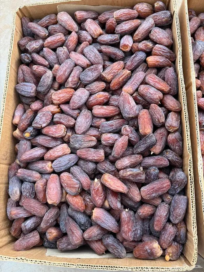 مجدول جمله 0