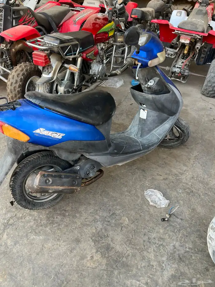 دباب بطه 0
