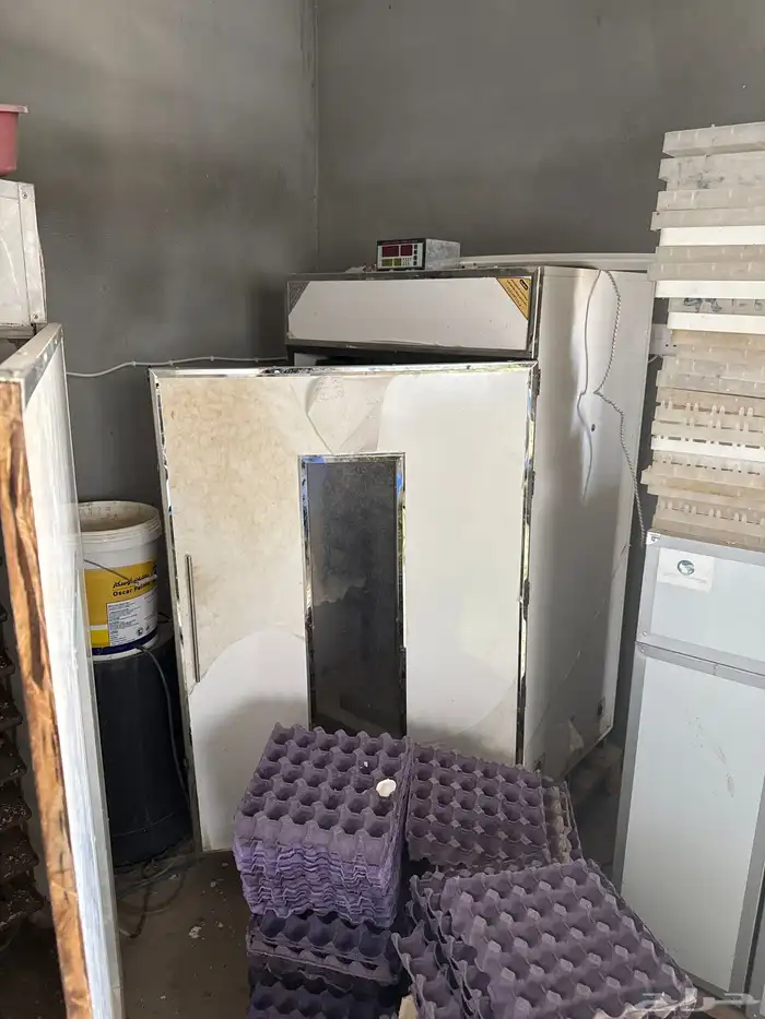 فقاسه او فقاسات 2