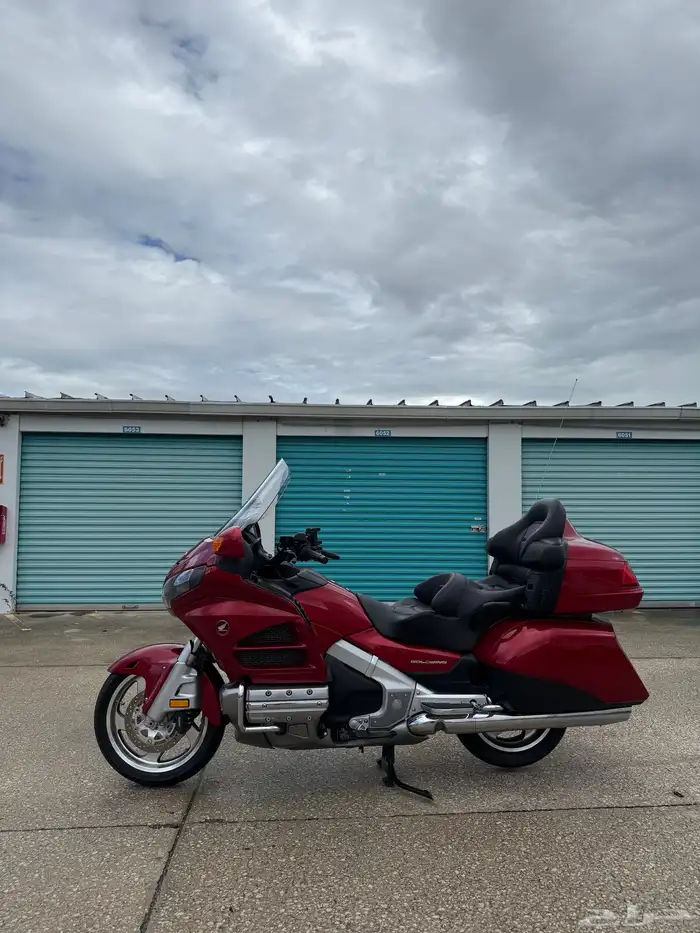 قولد وينق 2016 8