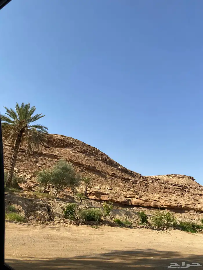احد جاي من طريف الي عرعر او سكاكا يكلمني لاهنتم 0