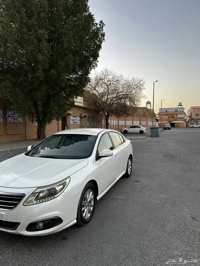 رينو سافران 2014 1