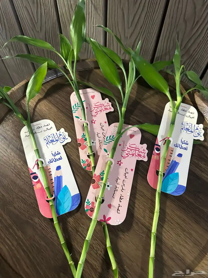 توزيعات ليوم المعلم 0