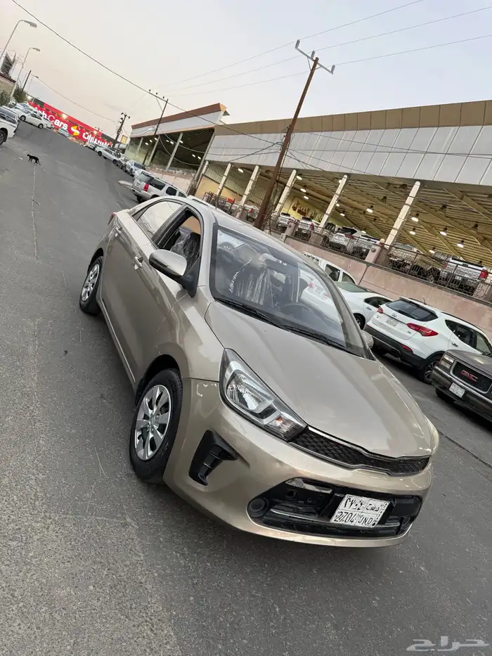 بيجاس 2021 1