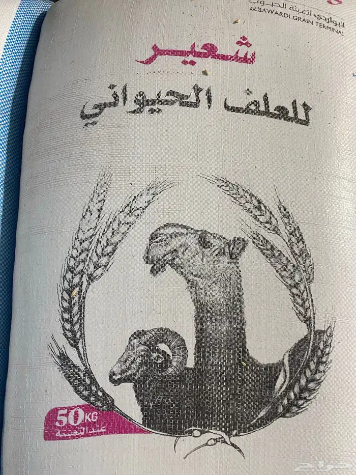 برسيم رودس مكعبات أغنام وعلاف دواجن 0