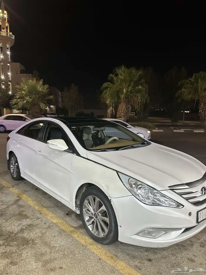 سنوناتا 2013 10