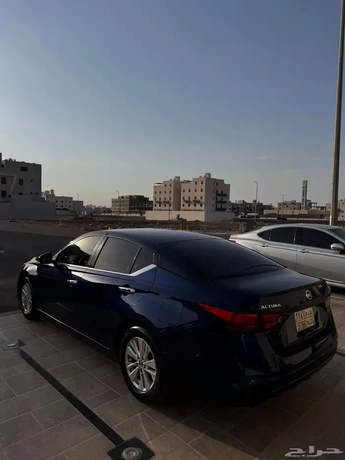 التيما 2020 4