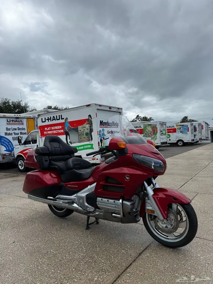 قولد وينق 2016 3