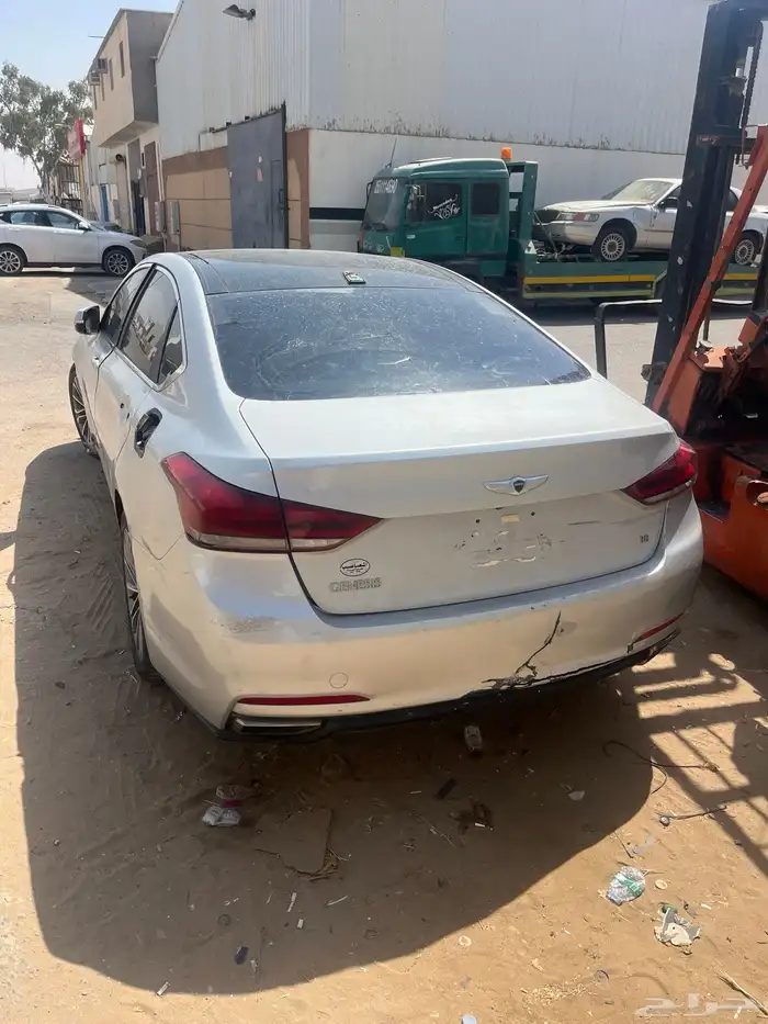 جنسس مديل 2016 2