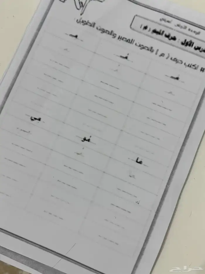 معلمة تأسيس خبرة في التدريس لجميع المواد 6