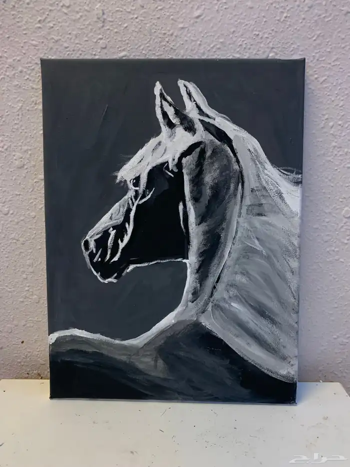 رسمات 1