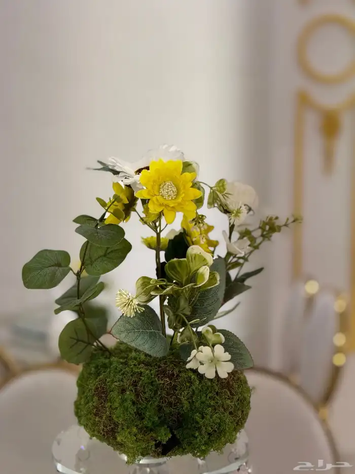 تنسيق حفلات تاجير لوازم أفراح 6