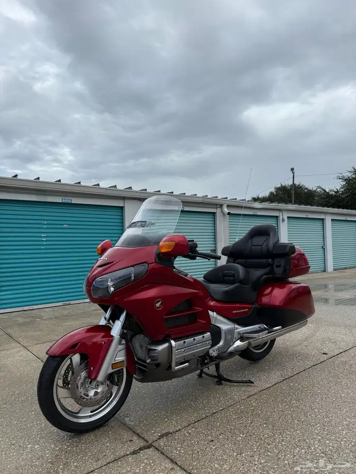 قولد وينق 2016 2