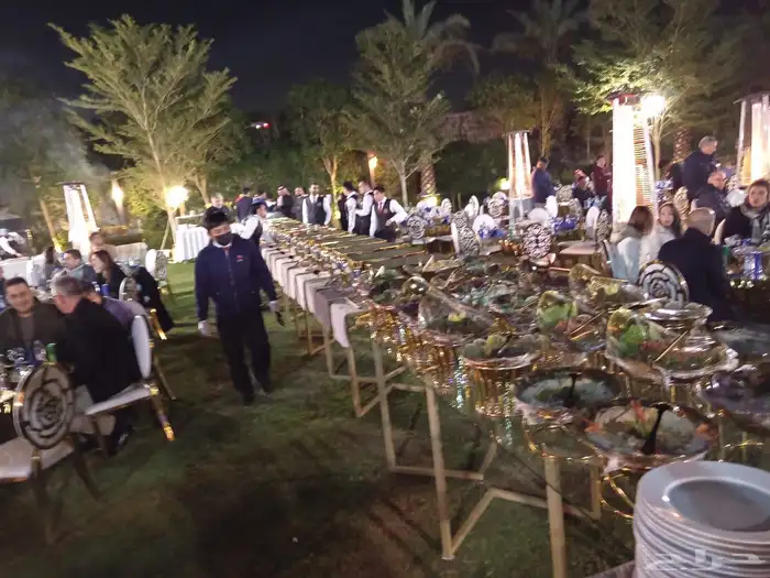 بوفيهات غداء  عشاء 15