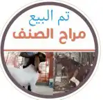 تيس مطور عرض نادر( تم البيع ) 4