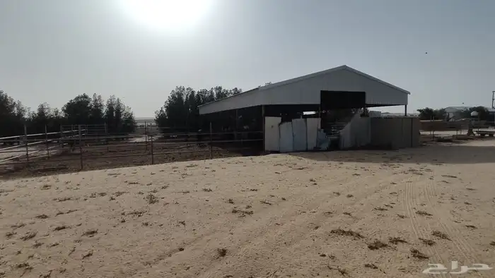 مزرعه علان 9 شمال مليجه قريب من الشارع العام 3