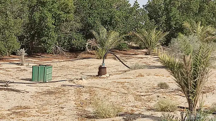 مزرعه علان 9 شمال مليجه قريب من الشارع العام 11