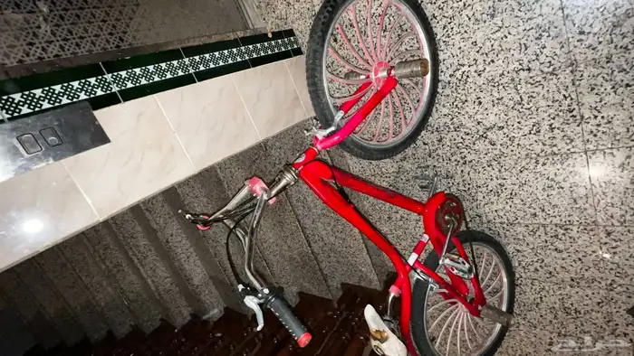 دراجه كوبرا 3