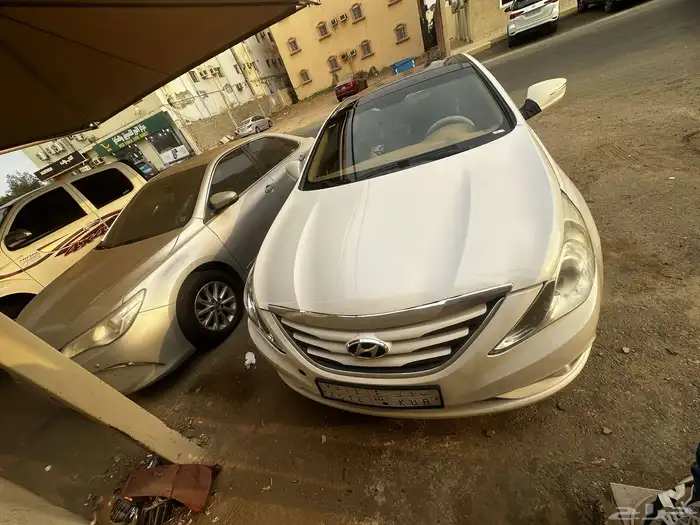 سنوناتا 2013 1
