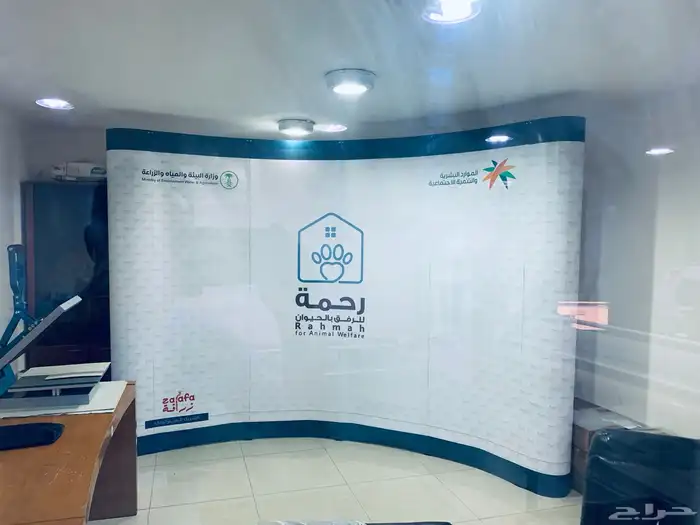 بوب_اب_رول_اب_مكعبات_فوركس_ لاما_ستاند 5