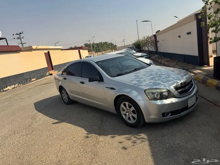 كابرس 8 سرندل LS 2008 5
