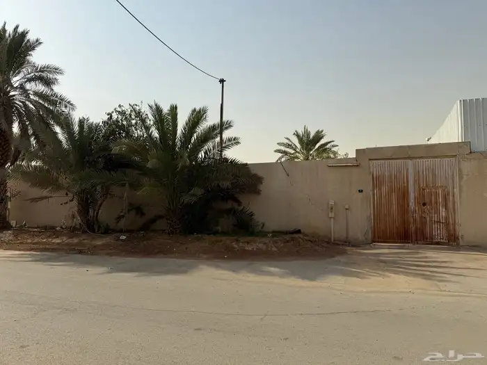 ارض للبيع 1