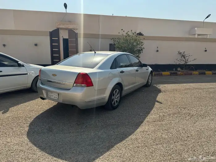 كابرس 8 سرندل LS 2008 3