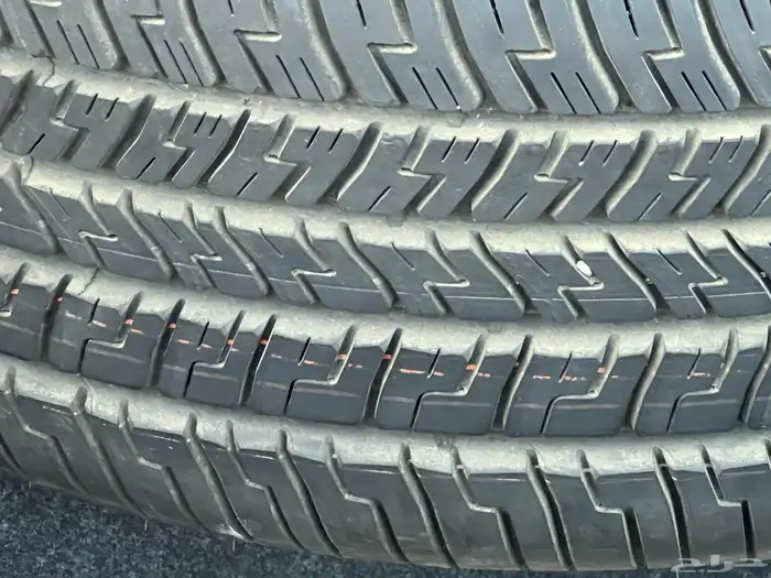 جراند ماركيز مالك اول 2010 26