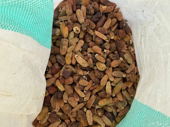 نفيع تمر 40 كيس 2