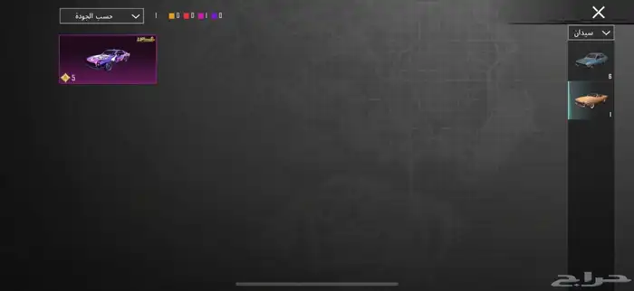 حساب ببجي للبيع 19