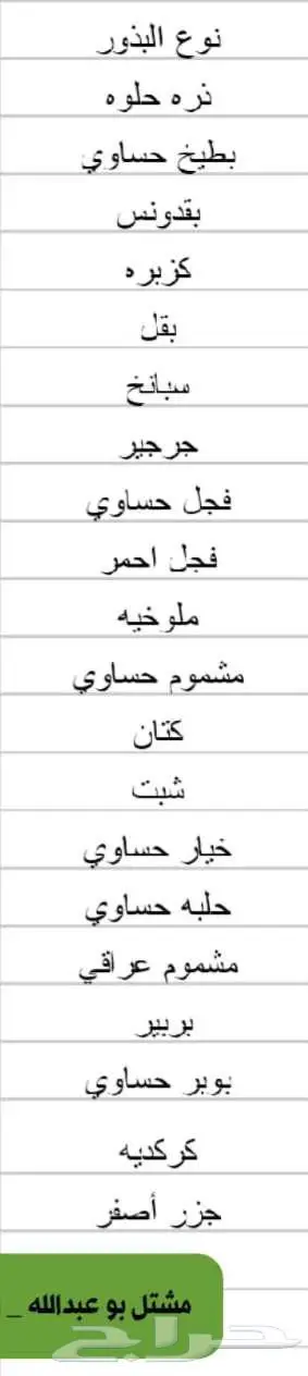 بذور ورقيات وخضروات مشتل ابوعبدالله . الحليله   الاحساء 1