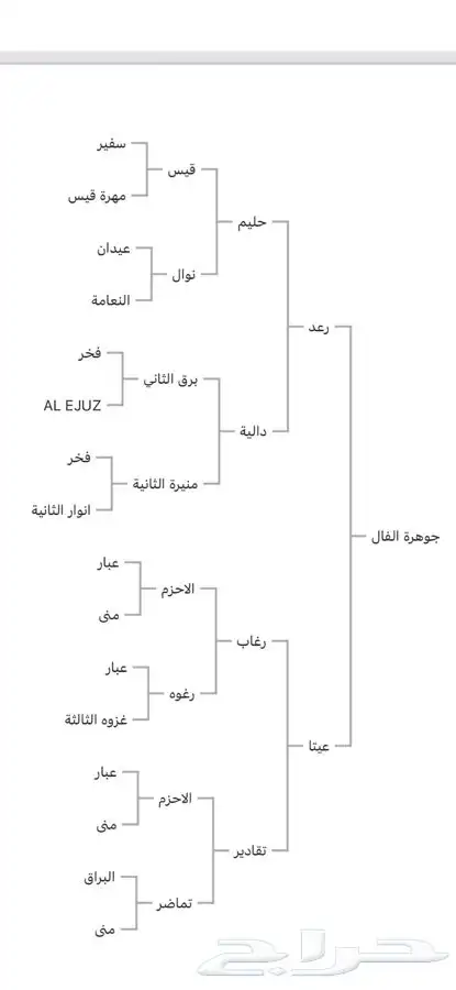 افراس جزيرية 2