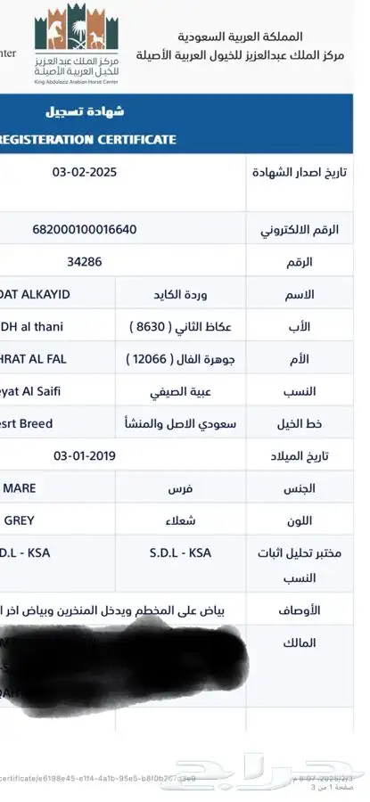 افراس جزيرية 5