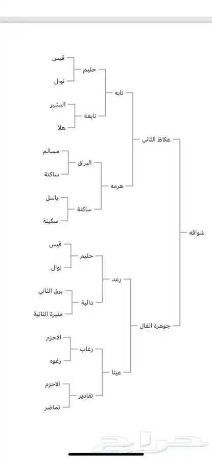 افراس جزيرية 4