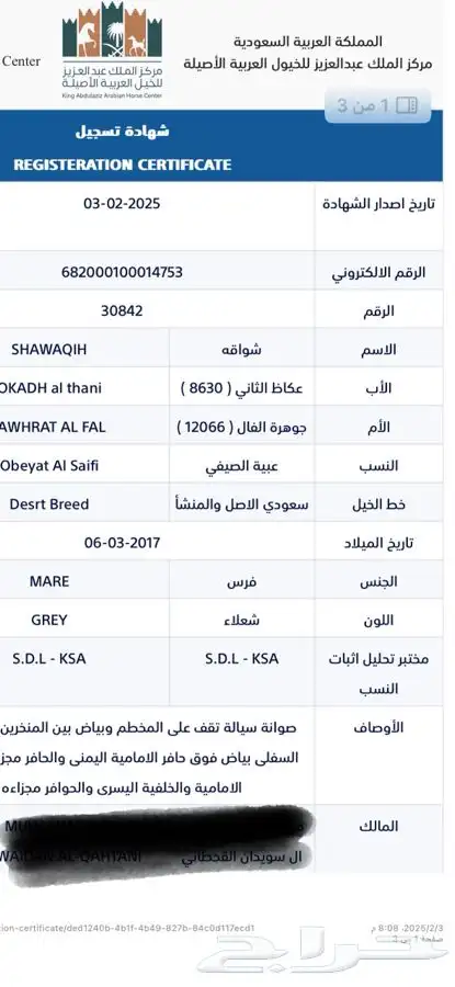 افراس جزيرية 3