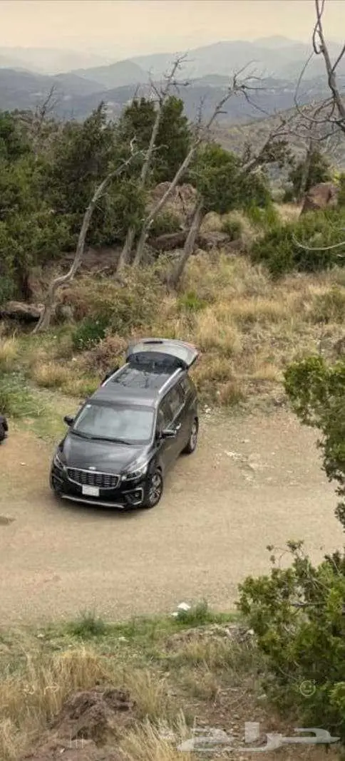 كيا كرنفال عائلية 2020 وارد كوريا ديزل 9 ركاب 0