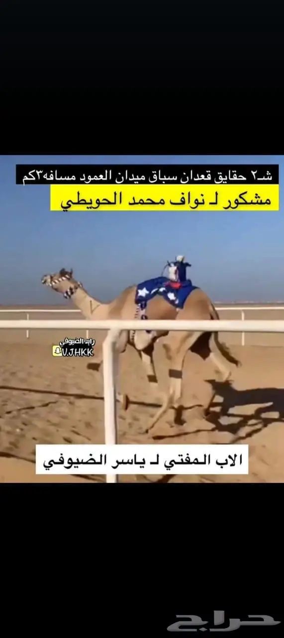 بكره جاهزه للعسف VIP سلالة 1