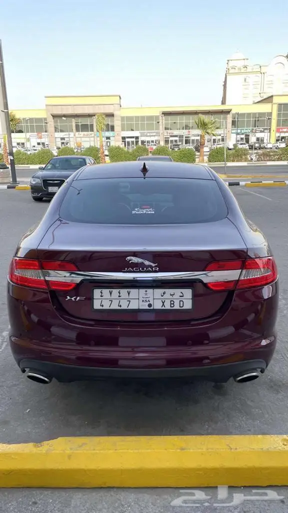 جاكوار رجاء تام لا يجيني الا الصامل 1
