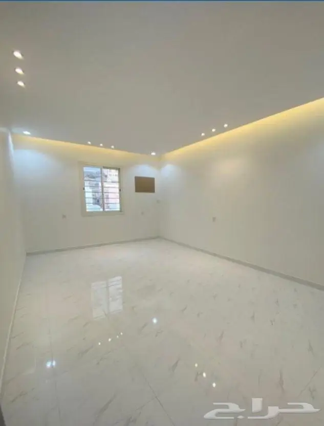 صباغ الاحساء 6