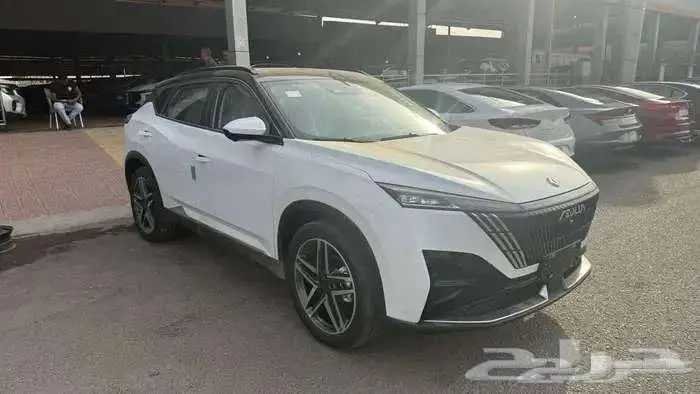 دونج فينج ميج فل كامل 2026 2