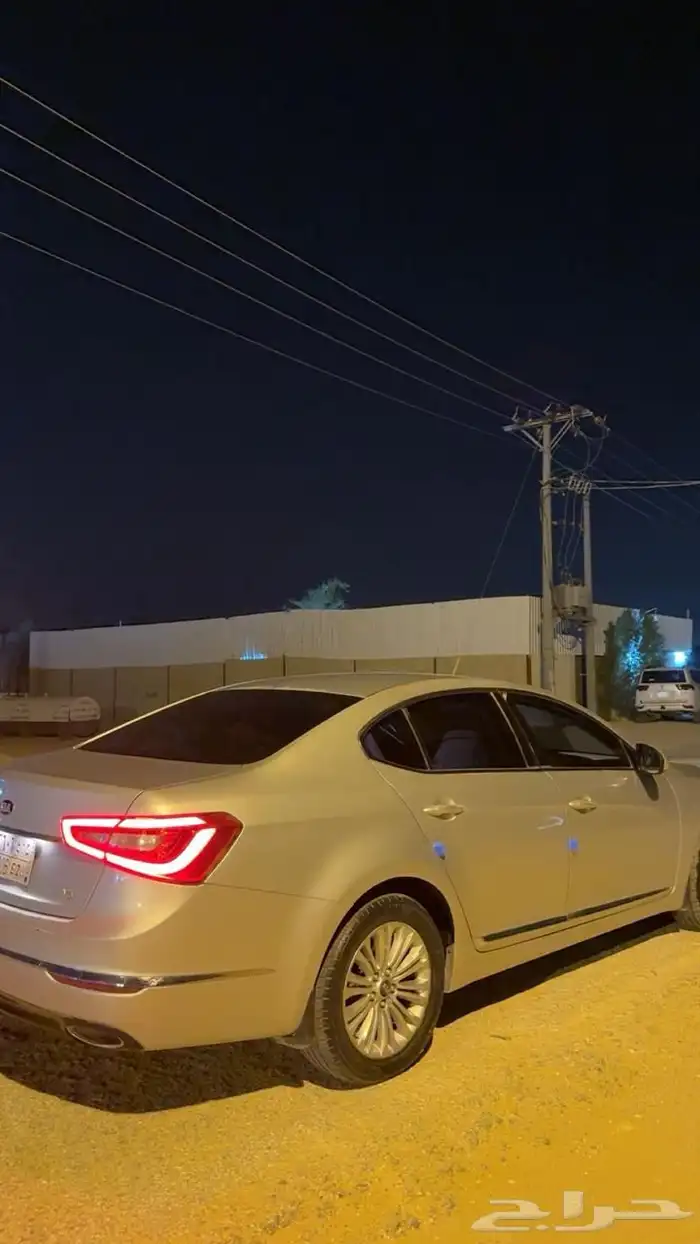 كادينزا 2016 7