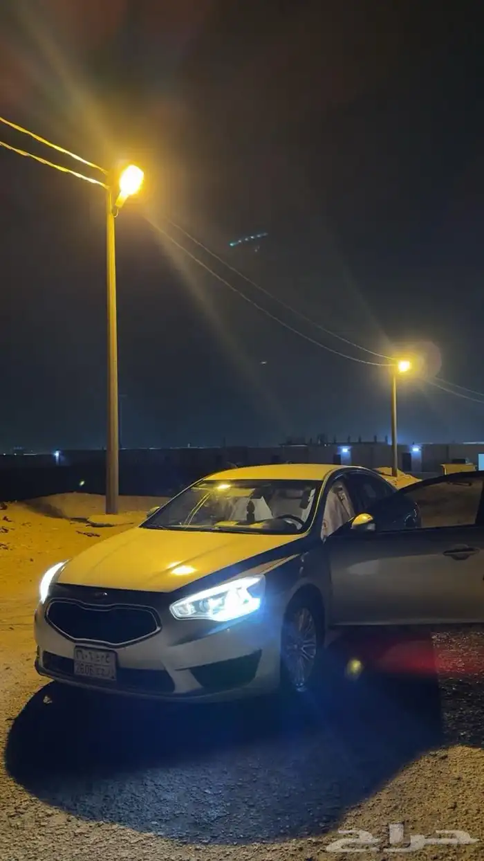 كادينزا 2016 12