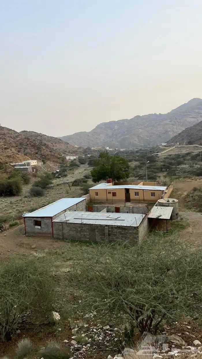اجار او بيع 1