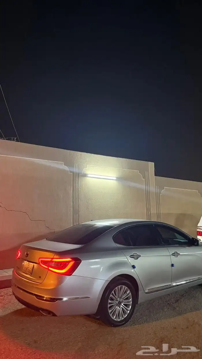 كادينزا 2016 13
