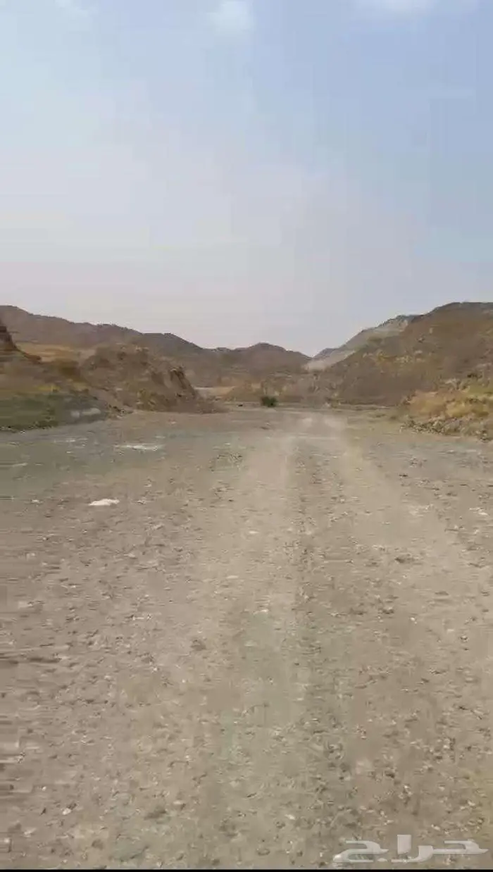 ارض سكني للبيع في حي ولي العهد 0