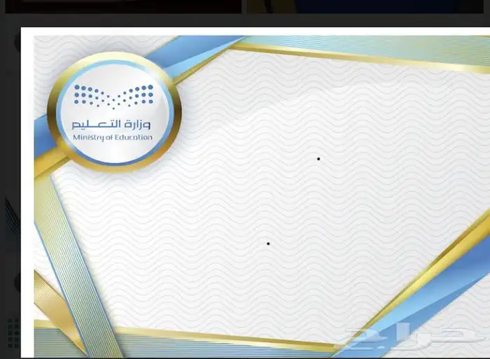 تصميم الشعارات تصميم السيره الذاتيه تصميم الموشن جرافيك 11