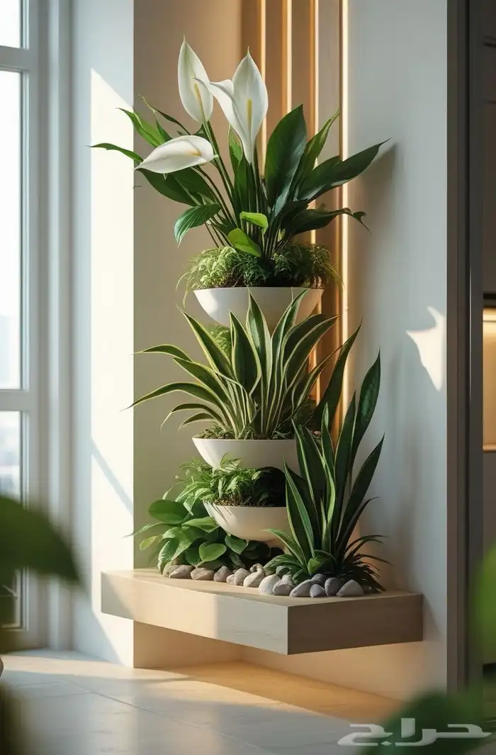 تصميم داخلي و ديكور 5