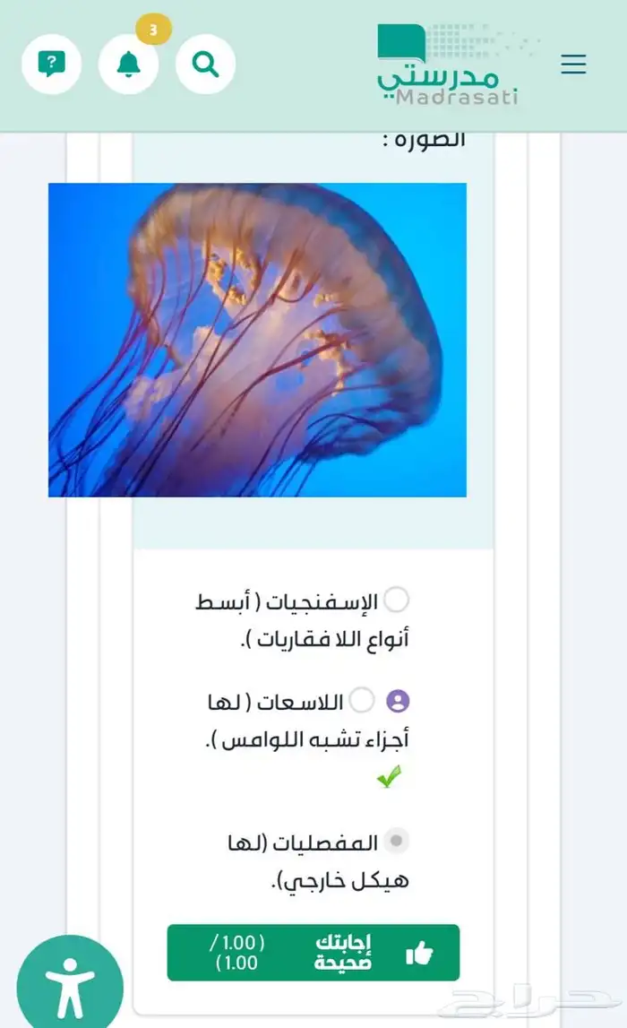 تصاميم -خدمات طلابية 7