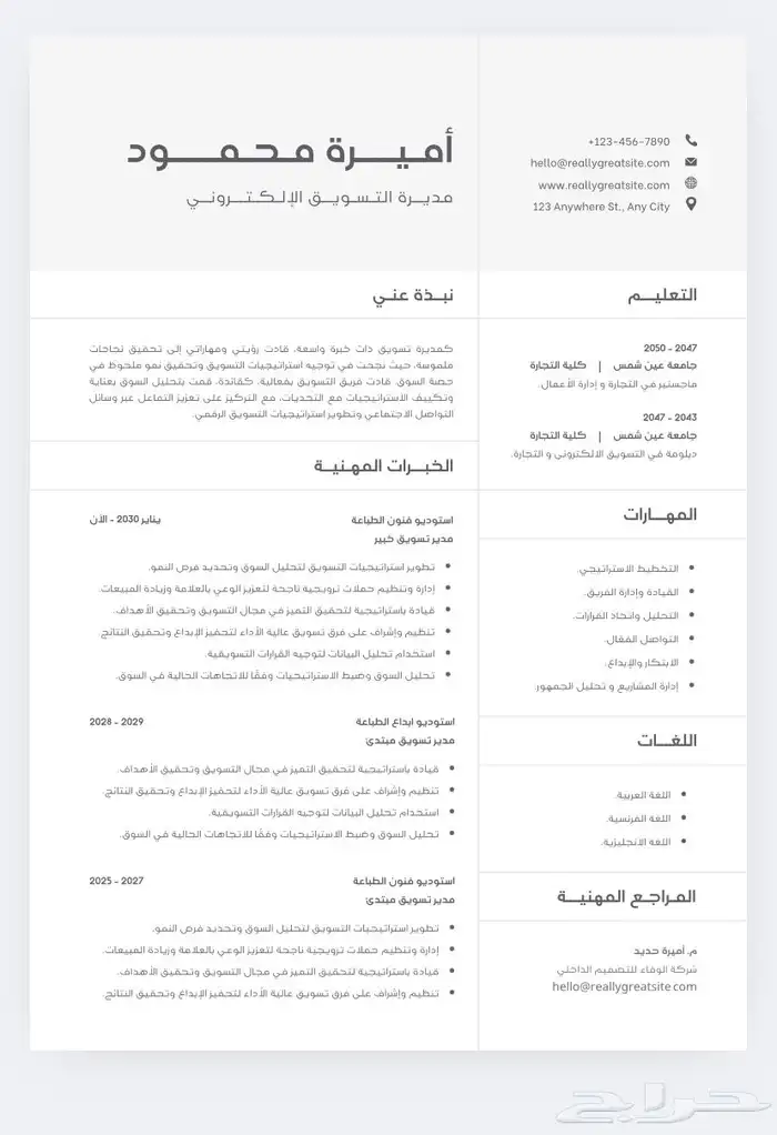 خدمة تصميم وكتابة السير الذاتية (CV) 2