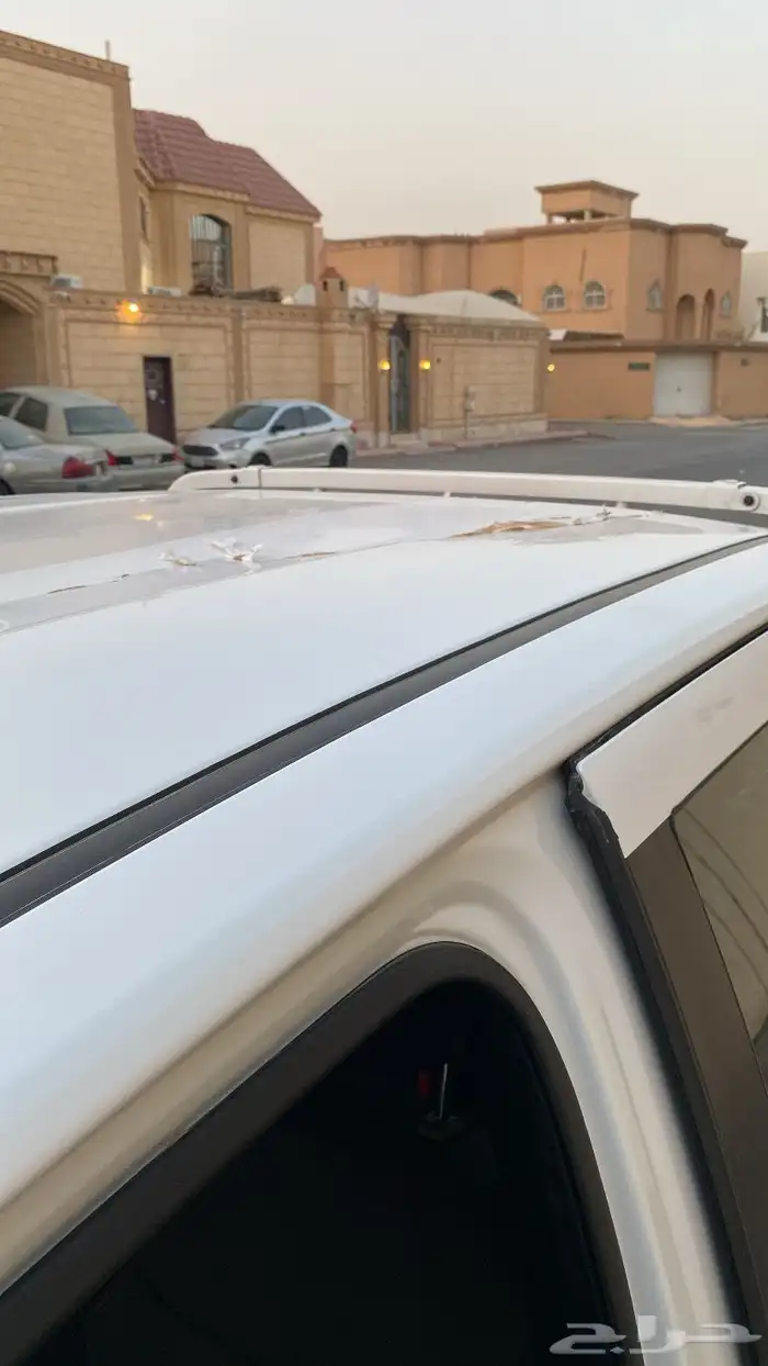 سيزوا ديمكس جي تي 36